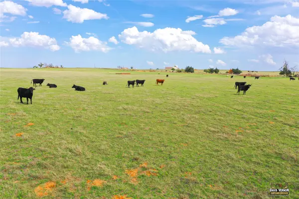 10405 County Road 106 W, Vernon, TX 76384