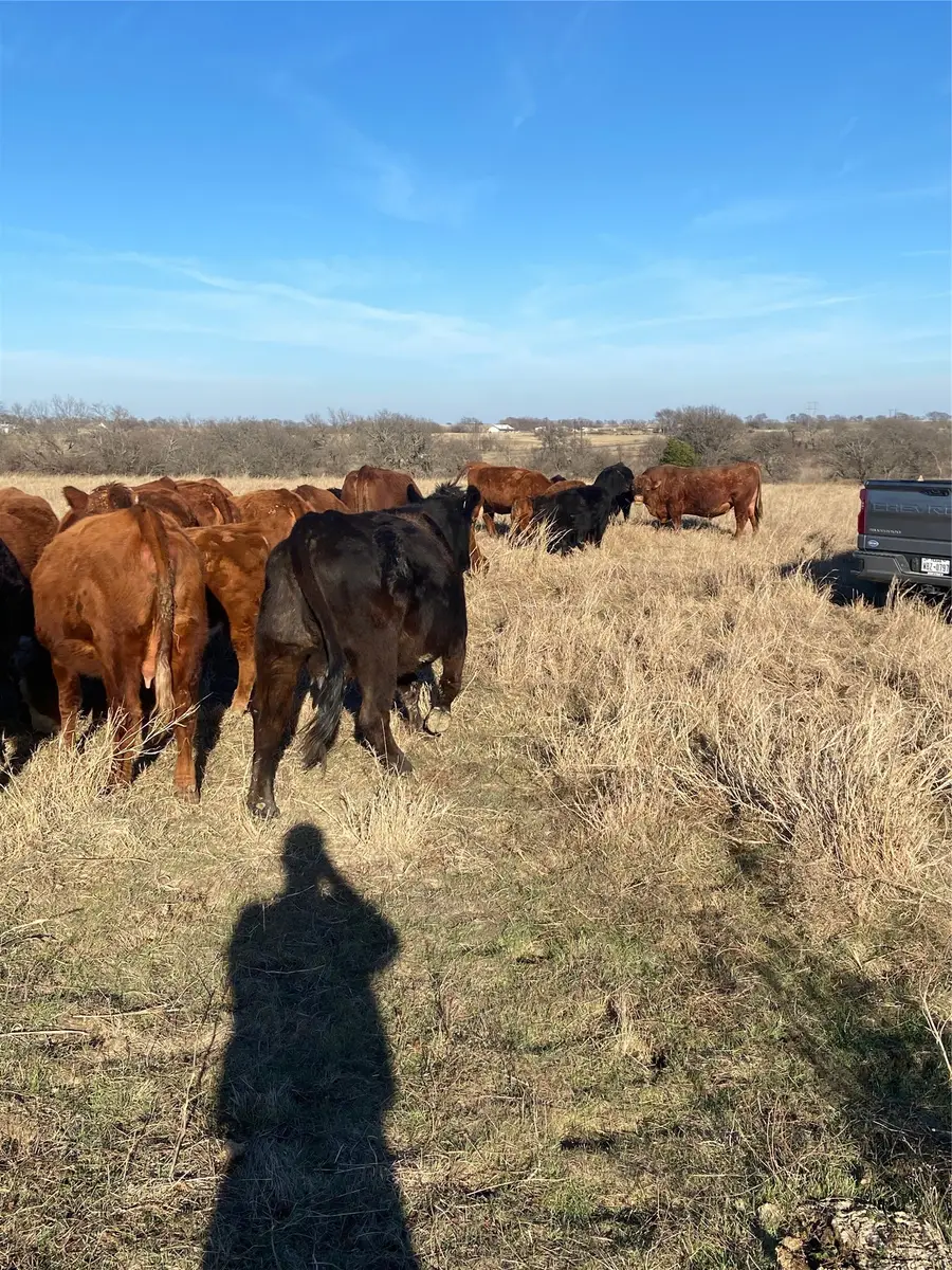 10.5 acres Ohanlon Road, Whitesboro, TX 76273 - #2
