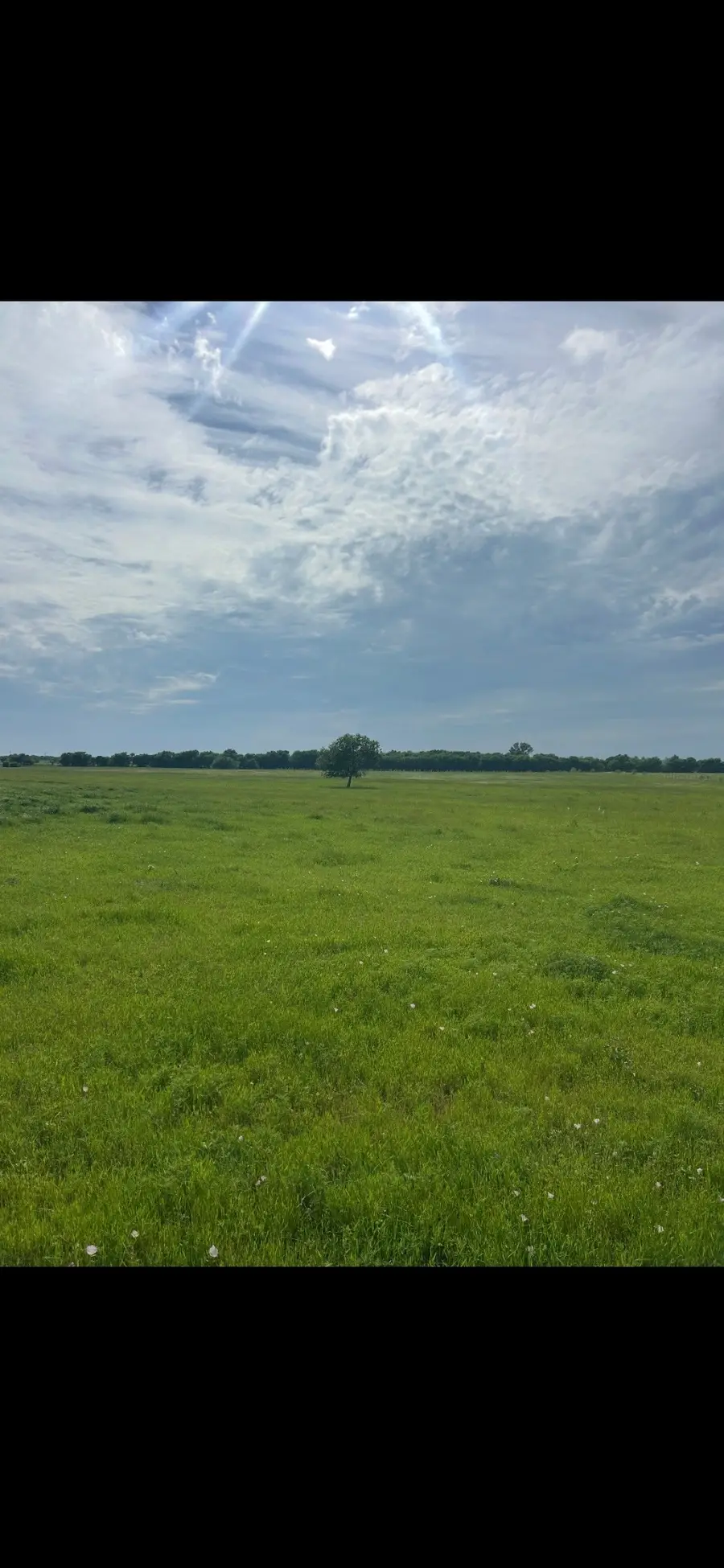 10.5 acres Ohanlon Road, Whitesboro, TX 76273 - #3