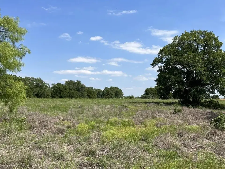 311 Kilkenny, Poolville, TX 76487 - #1