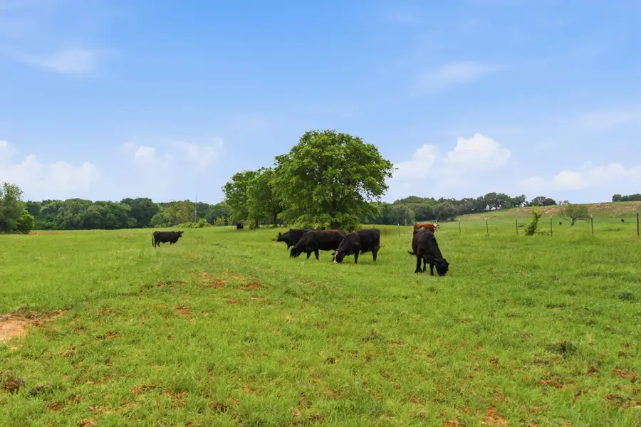 10501-7 Mitchell Bend Court, Granbury, TX 76048 - #3