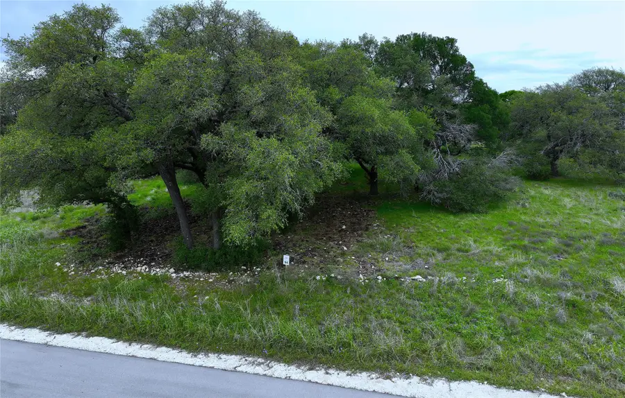 254 Guadalupe Drive, Oglesby, TX 76561 - #2