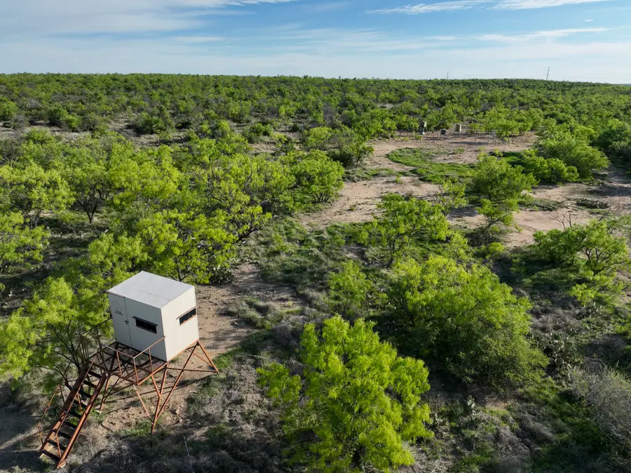 1124 County Road 322, Voss, TX 76888 - #2