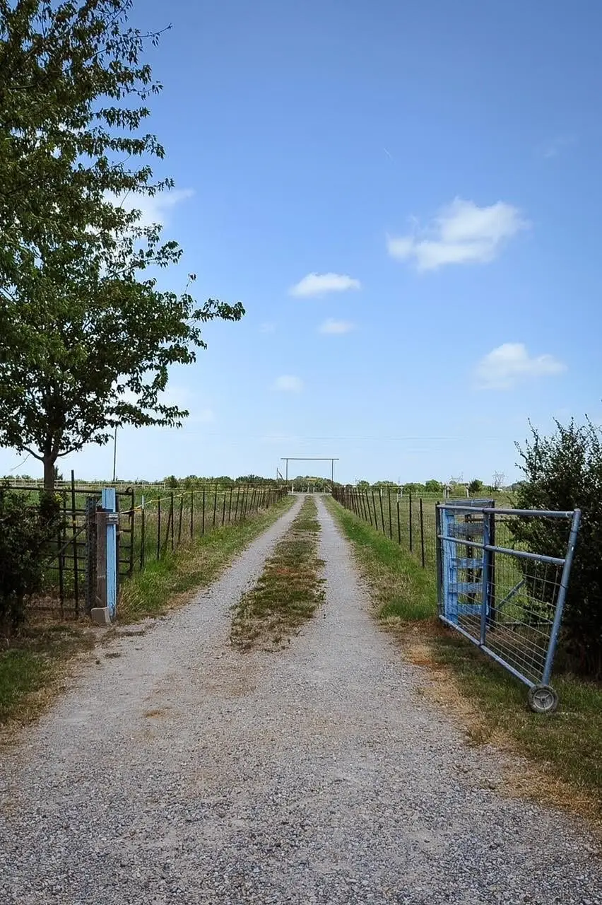 806 N Fm 1752, Savoy, TX 75479 - #2