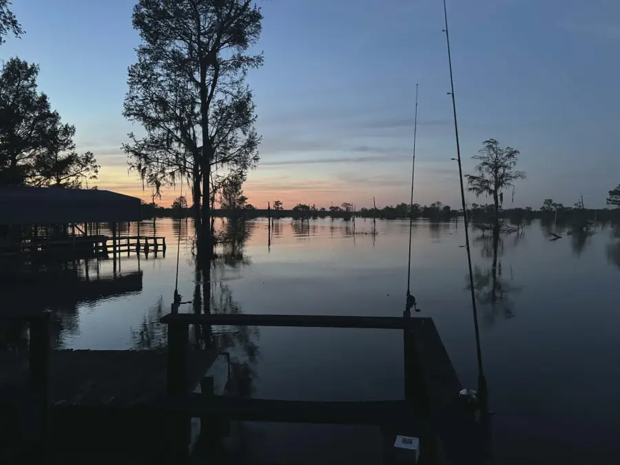 141 Mallard Road, Ringgold, LA 71068 - #3