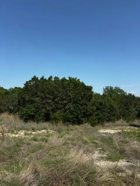 1255 Eagles Bluff Drive, Weatherford, TX 76087 - #3