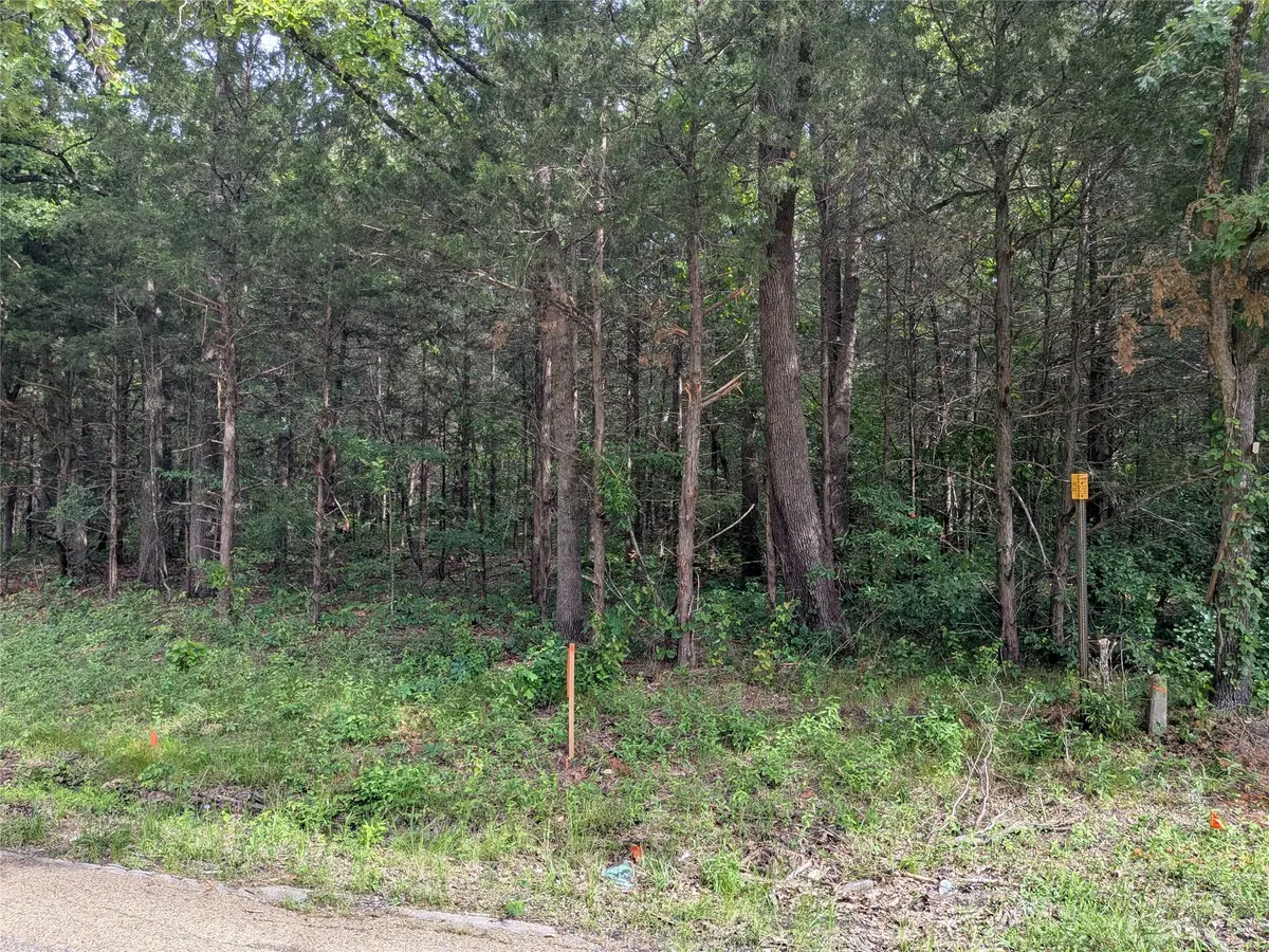 110 Vz County Road 1129, Fruitvale, TX 75127 - #1