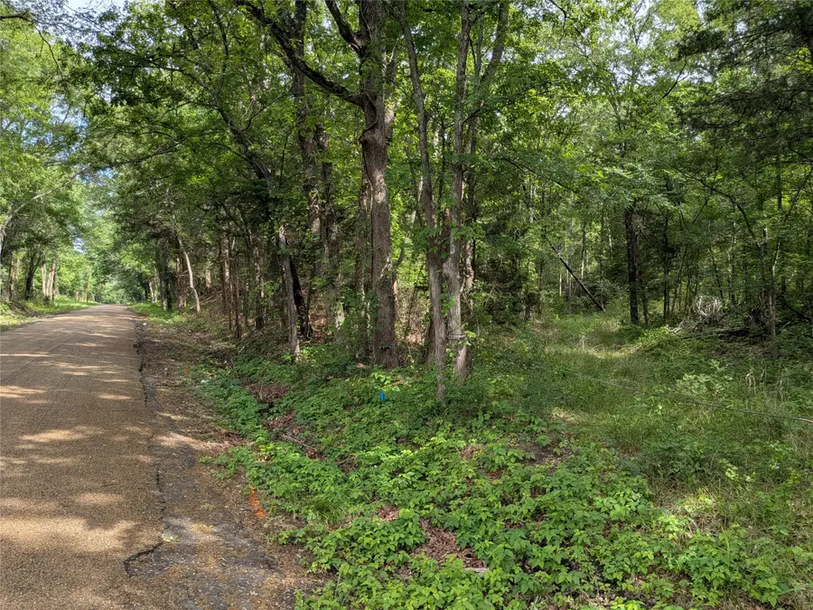 110 Vz County Road 1129, Fruitvale, TX 75127 - #2