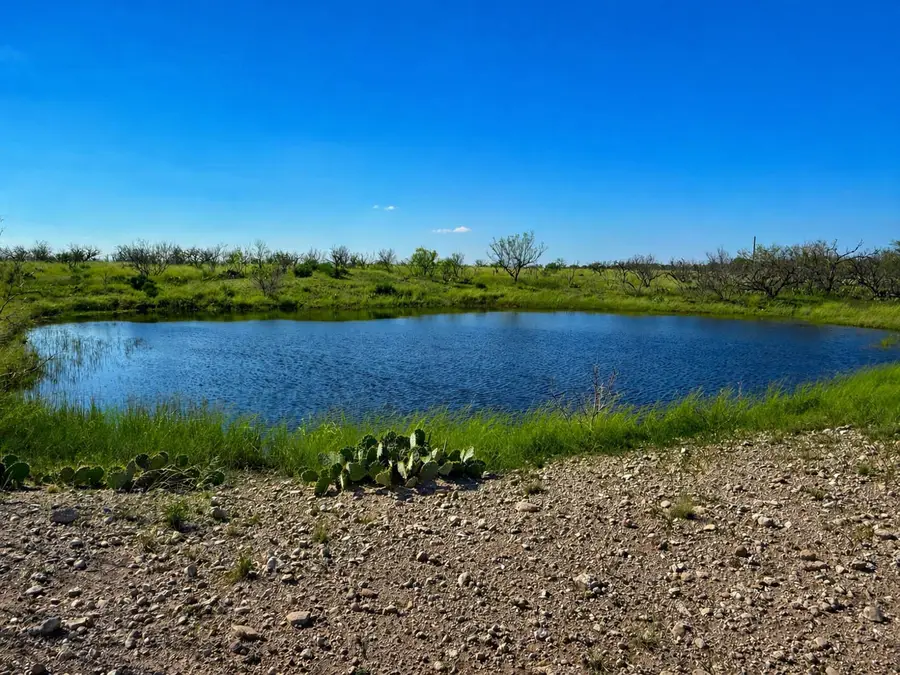 85 Private Road 527, Brady, TX 76825 - #2