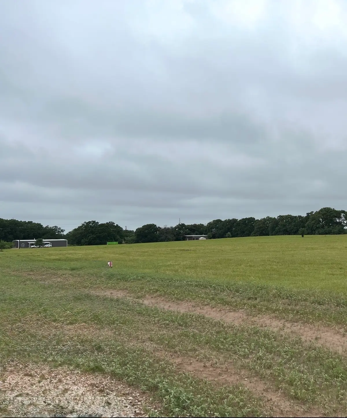 9459 Private Road 6907, Eustace, TX 75124 - #1