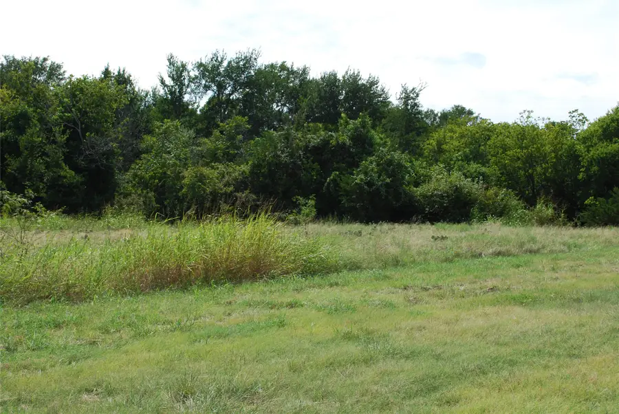 4036 Whitecrest Drive, Whitney, TX 76692 - #3