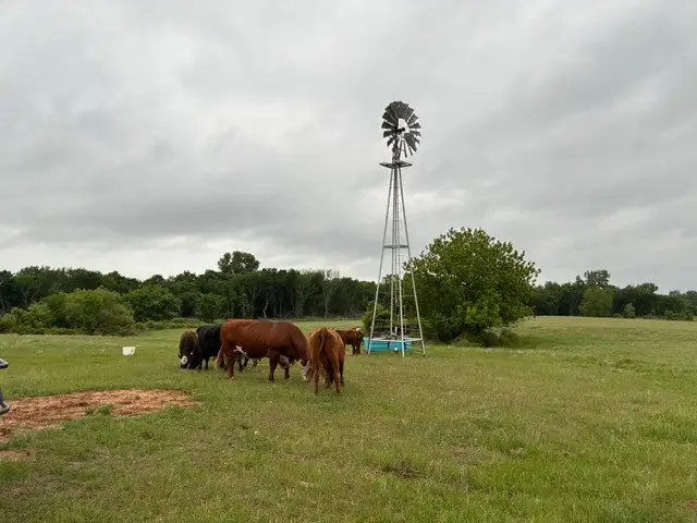 599 Lone Star, Poolville, TX 76487 - #1