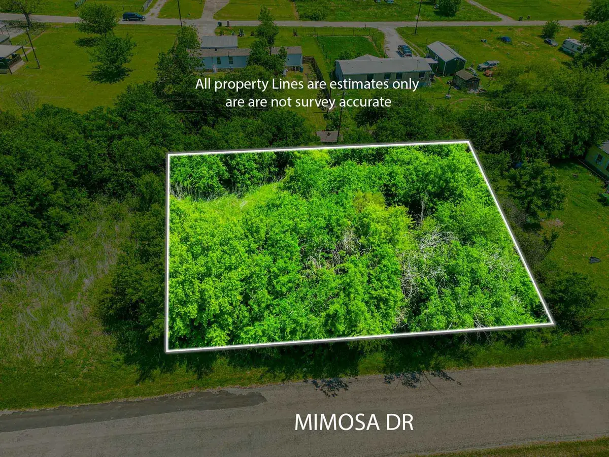 4507 Mimosa Drive, Granbury, TX 76048 - #1