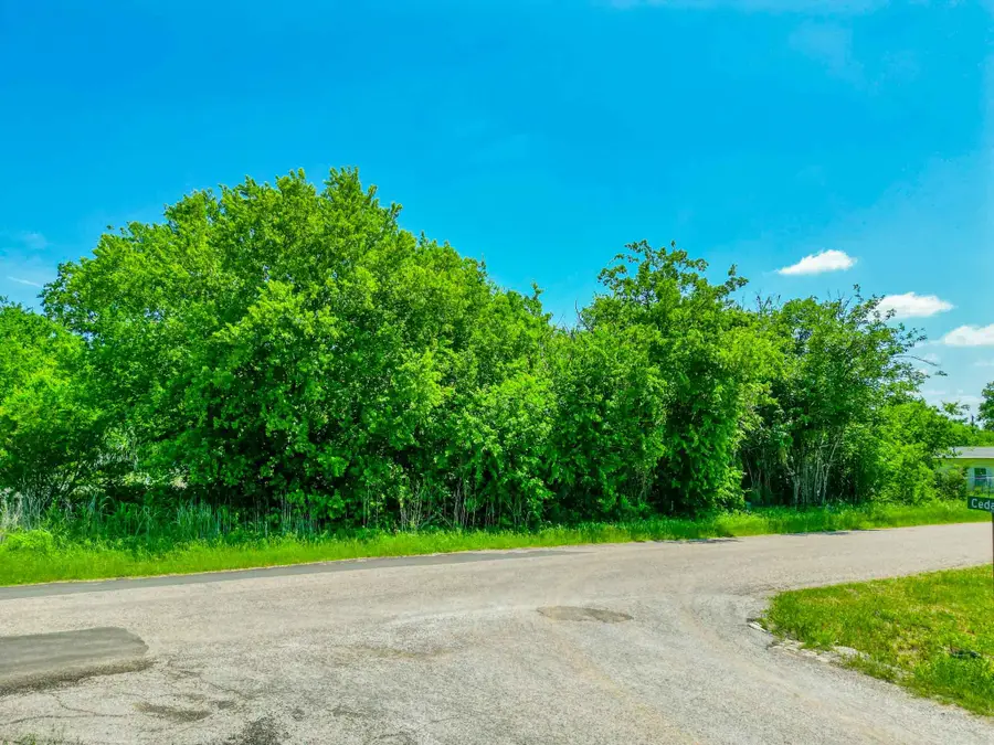 4507 Mimosa Drive, Granbury, TX 76048 - #2