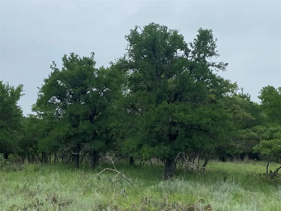 3040 Cutter Circle, May, TX 76857 - #2