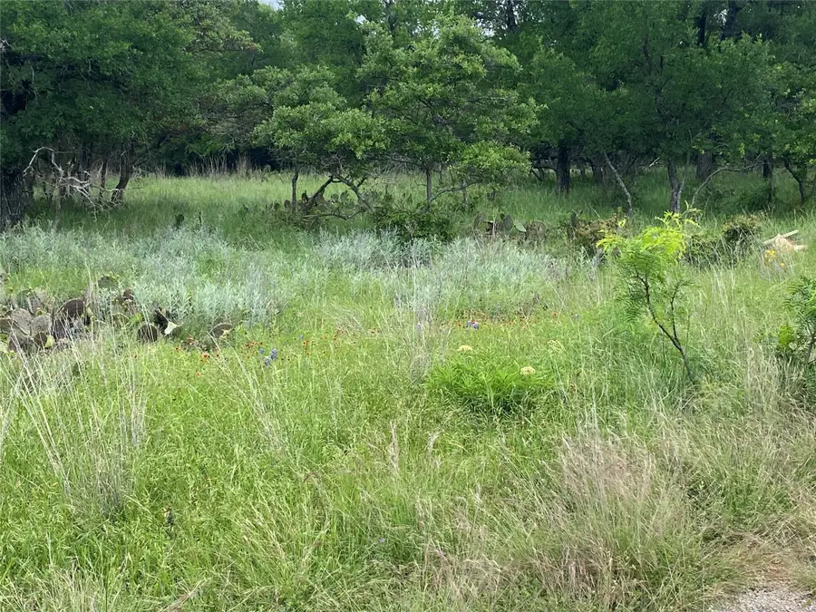 3040 Cutter Circle, May, TX 76857 - #3