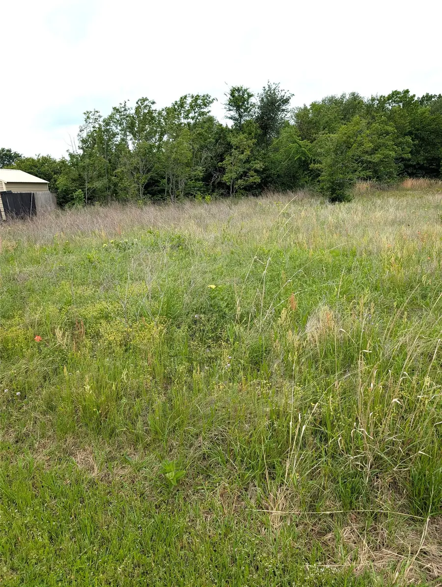 0 Meadow Heath Drive, Gun Barrel City, TX 75156 - #2