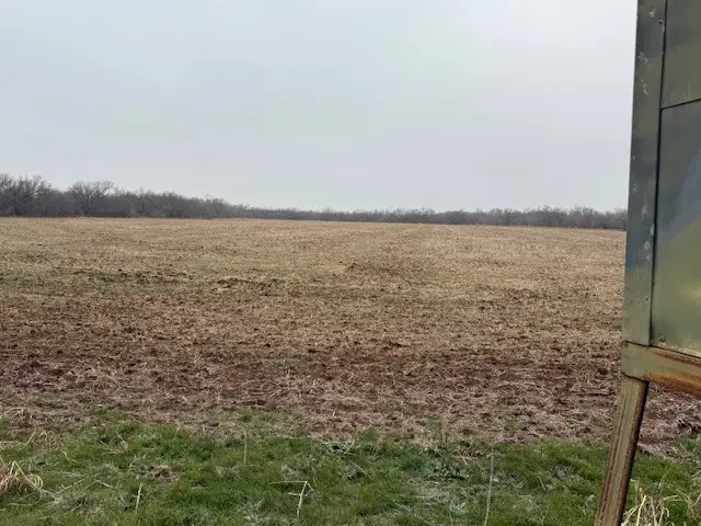 TBD Cr 429, Merkel, TX 79536 - #2