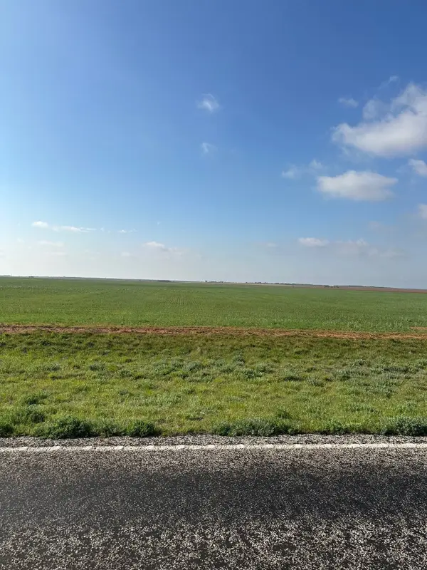 TBD Fm 1812 (lot 3), Merkel, TX 79536