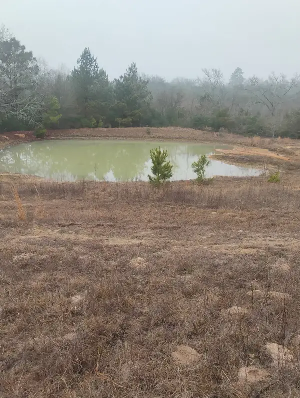TBD County Road 204, Centerville, TX 75833