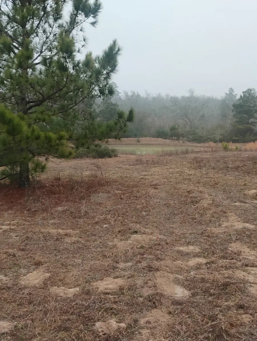 TBD County Road 204, Centerville, TX 75833 - #2