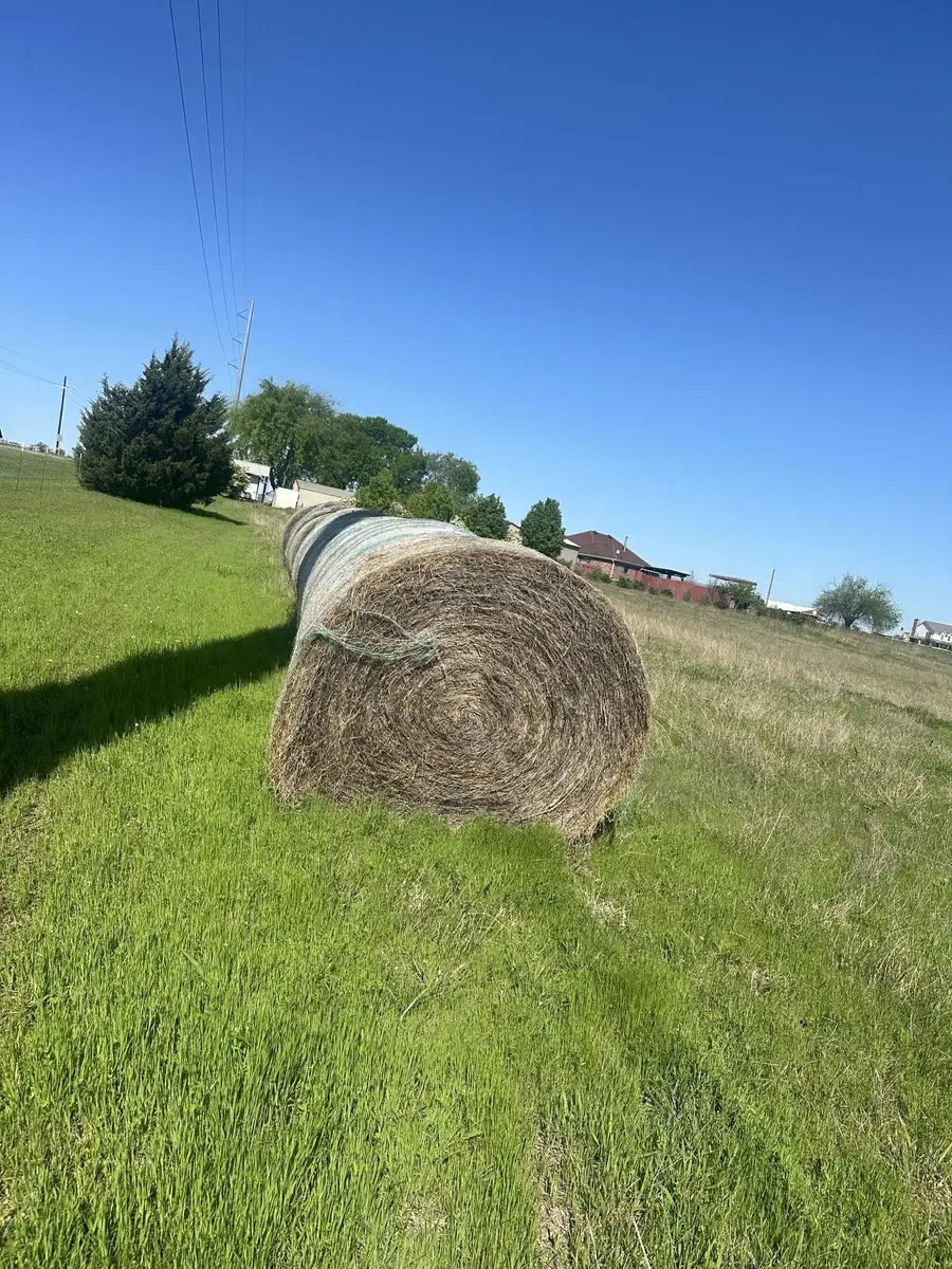 0002 County Road 496, Princeton, TX 75407 - #3