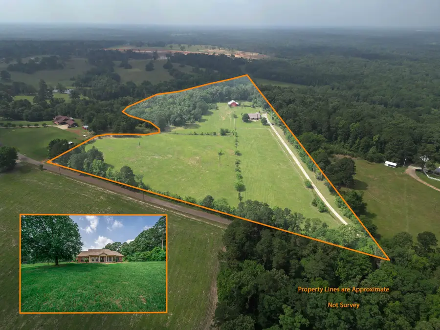 3460 Hawk Road, Diana, TX 75640 - #2