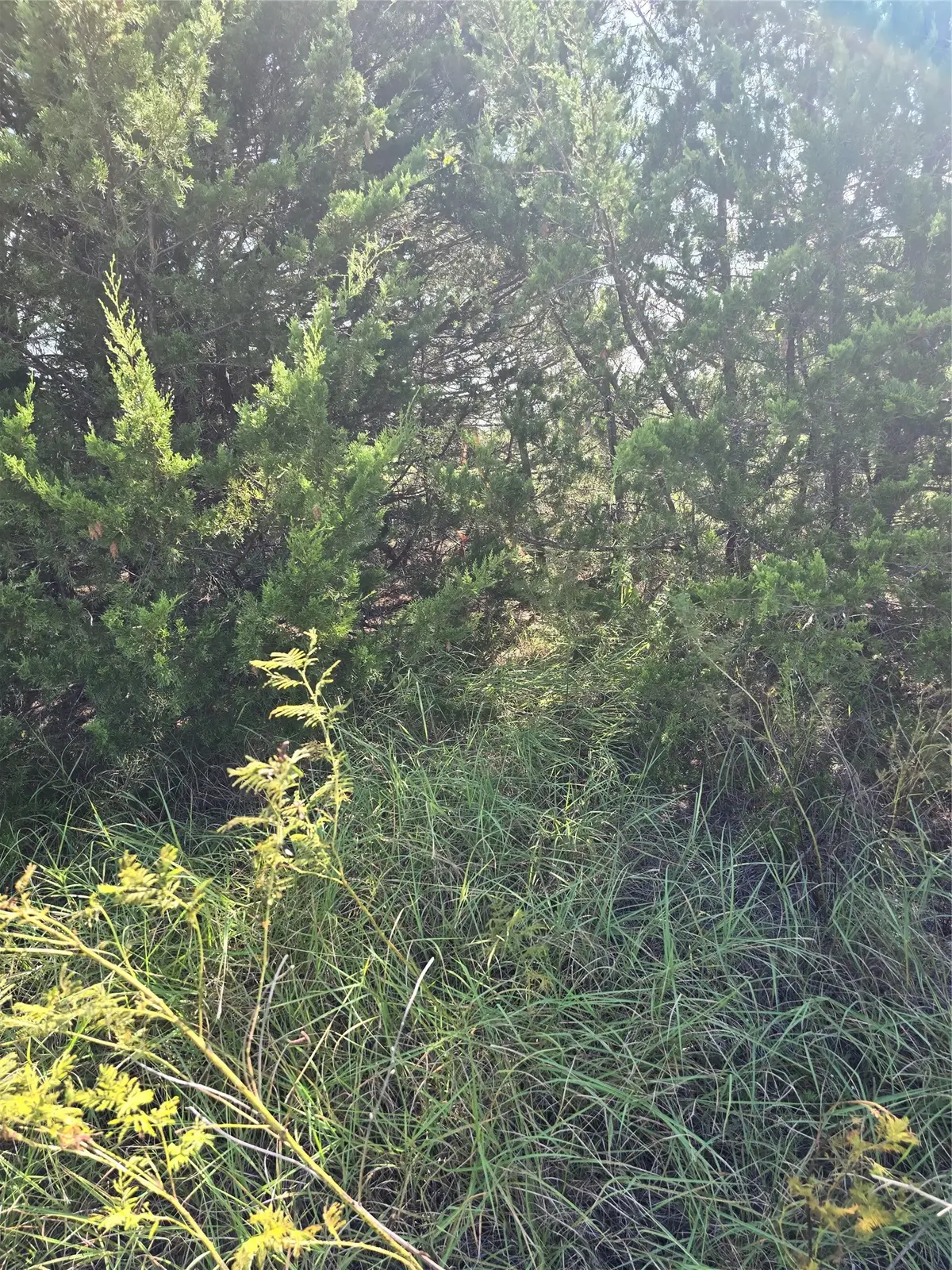 3694 County Road 1103, Celeste, TX 75423 - #1