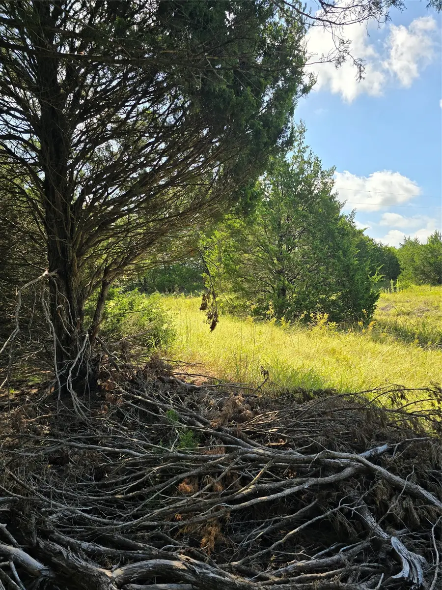 3694 County Road 1103, Celeste, TX 75423 - #3