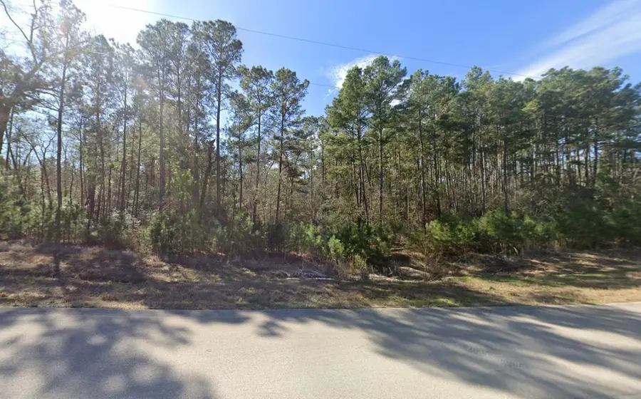 265 Sky Oak Lane, Huntsville, TX 77340 - #2