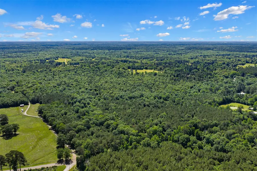 TBD County Road 3361, De Berry, TX 75639 - #2