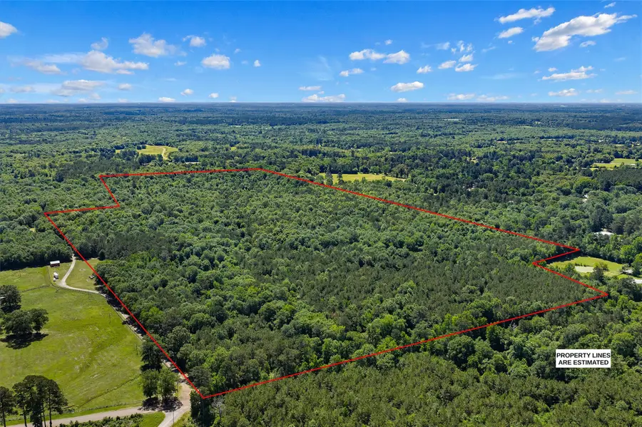 TBD County Road 3361, De Berry, TX 75639 - #3