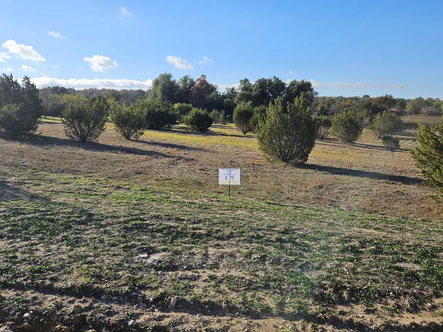 442 Hollow Drive, Lipan, TX 76462 - #2