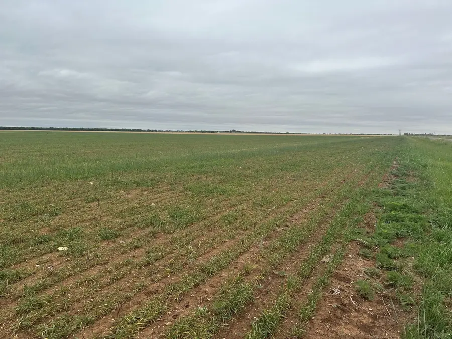 TBD Fm126 ( Tract 1 ), Merkel, TX 79536 - #3