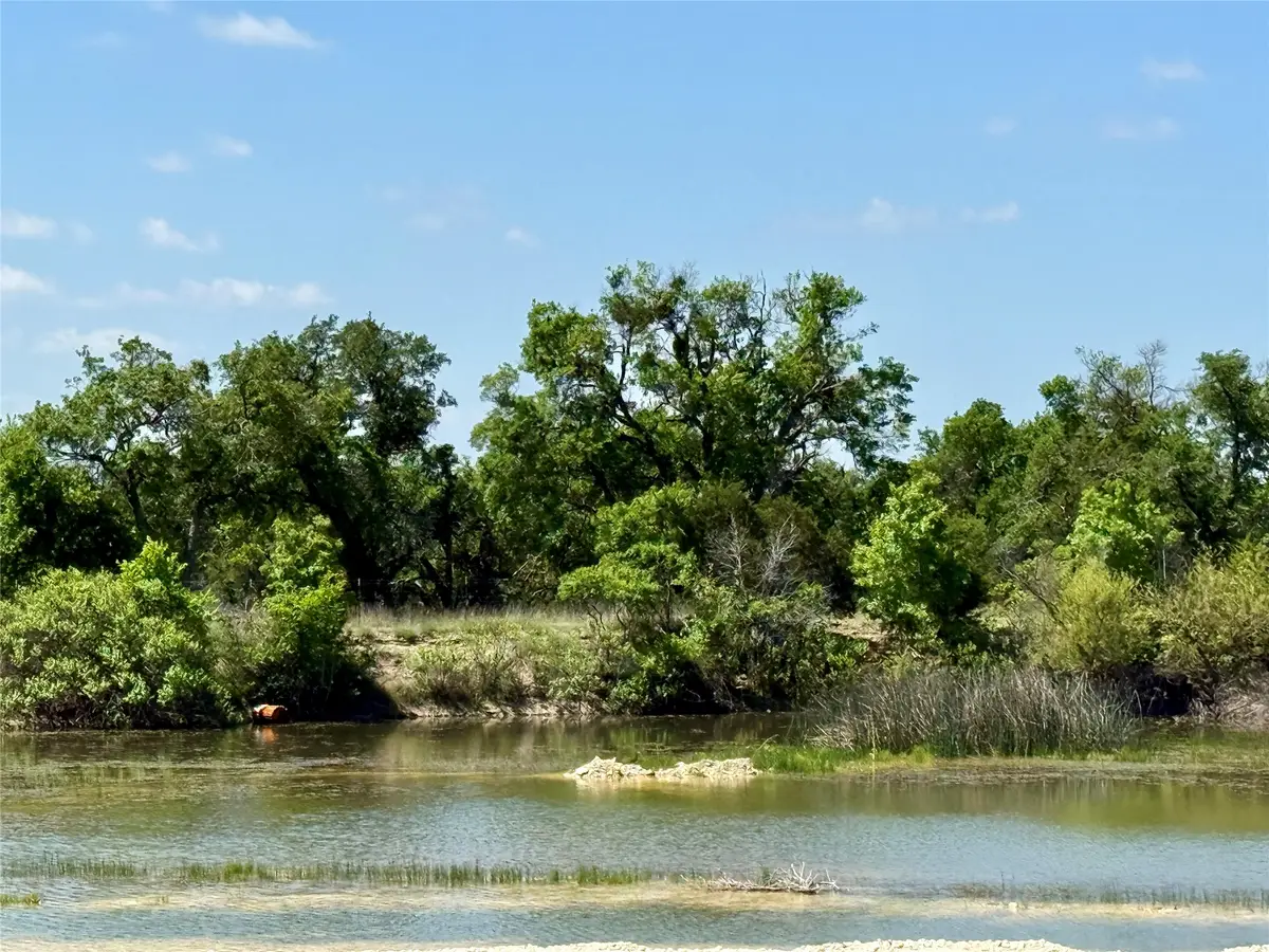 TBD Hwy 67-377, Blanket, TX 76432 - #1