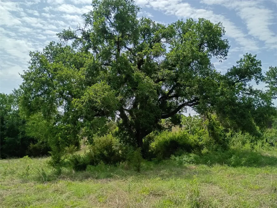 TBD Pr 2901 (tract S4), Hamilton, TX 76531 - #3