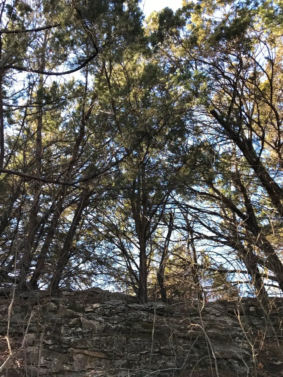 Lot 694 Balcones Lane, Possum Kingdom Lake, TX 76449 - #2
