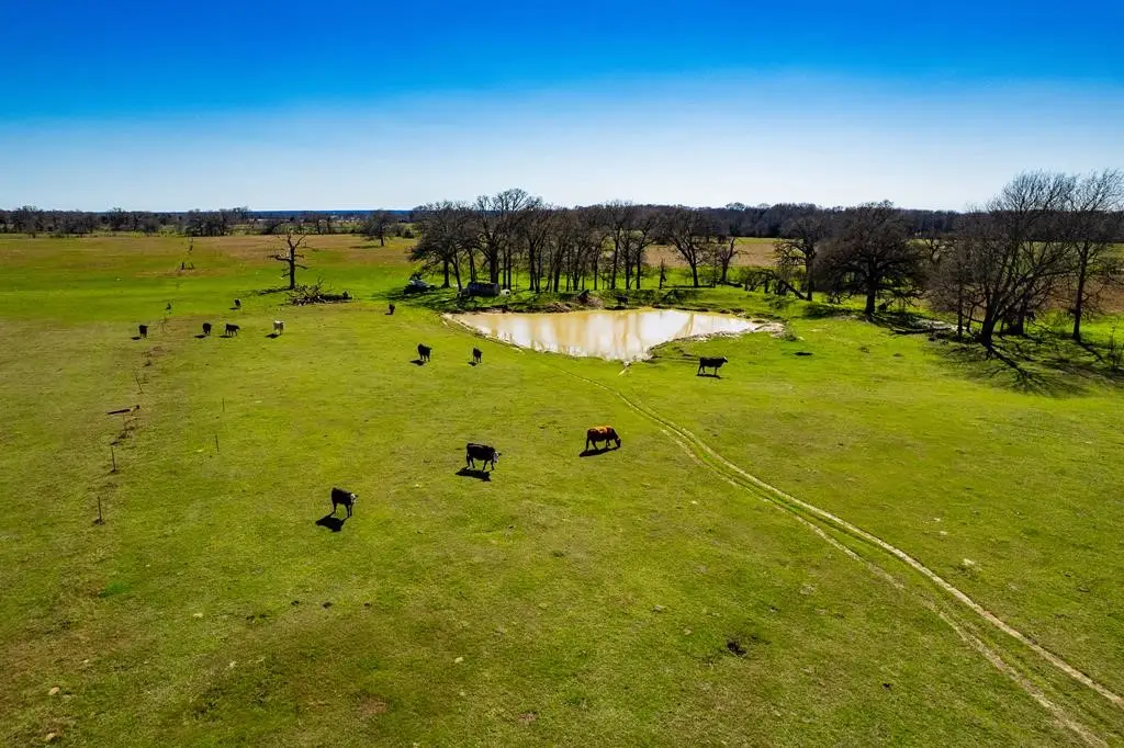 TBD Cr 2404, Kemp, TX 75143 - #1