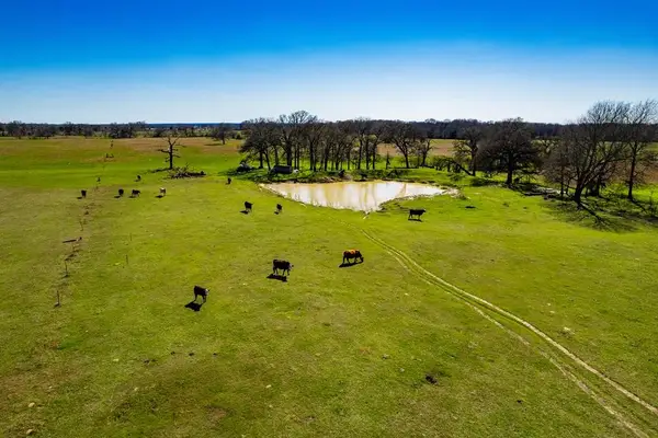 TBD Cr 2404, Kemp, TX 75143