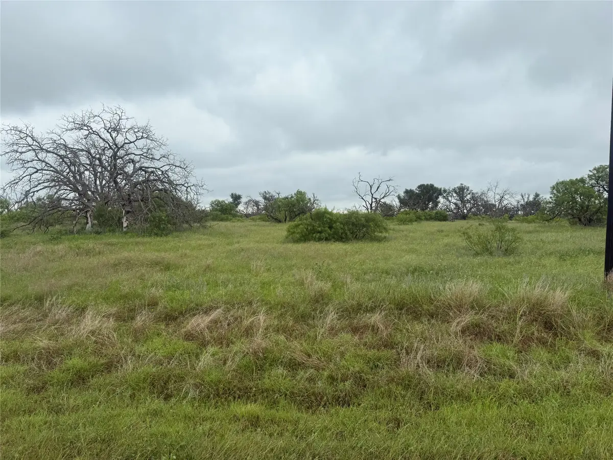 TBD779 Feather Bay Drive, Brownwood, TX 76801 - #1