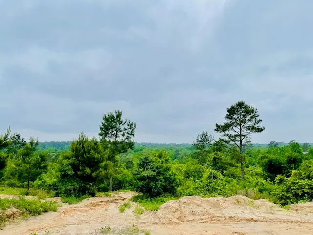 2665 County Road 3940, Mineola, TX 75773 - #1