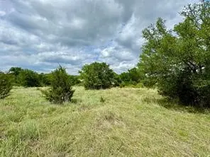 1145 Hidden Cove Trail, Glen Rose, TX 76043 - #3
