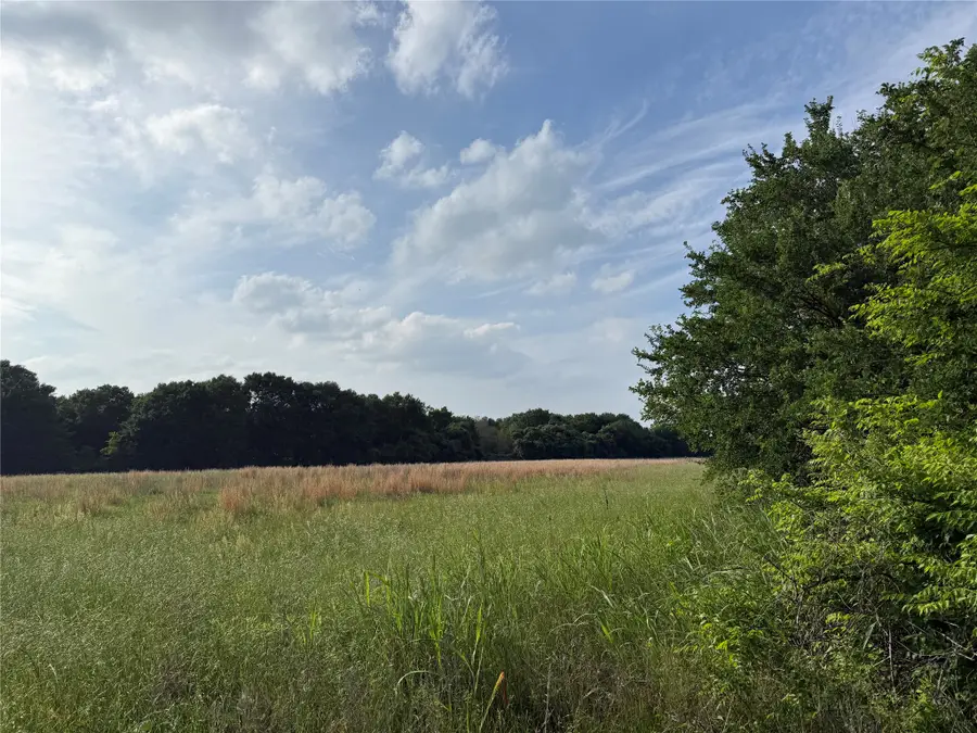 LOT 1 County Road 4072, Kemp, TX 75143 - #2