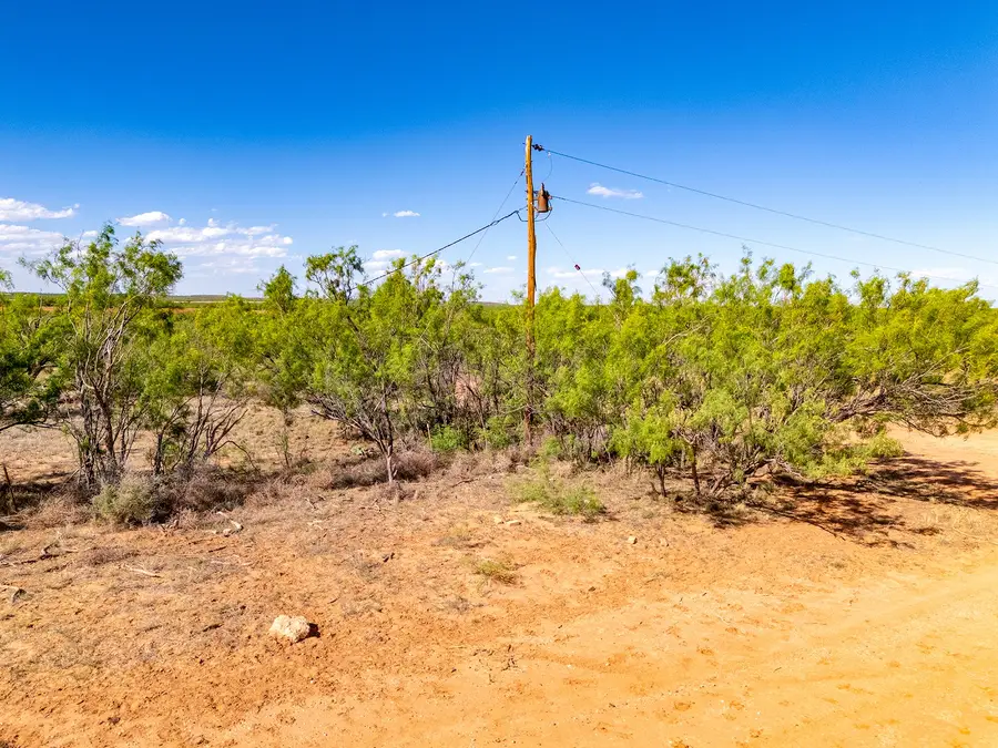 TBD Fm 670, Colorado City, TX 79512 - #3