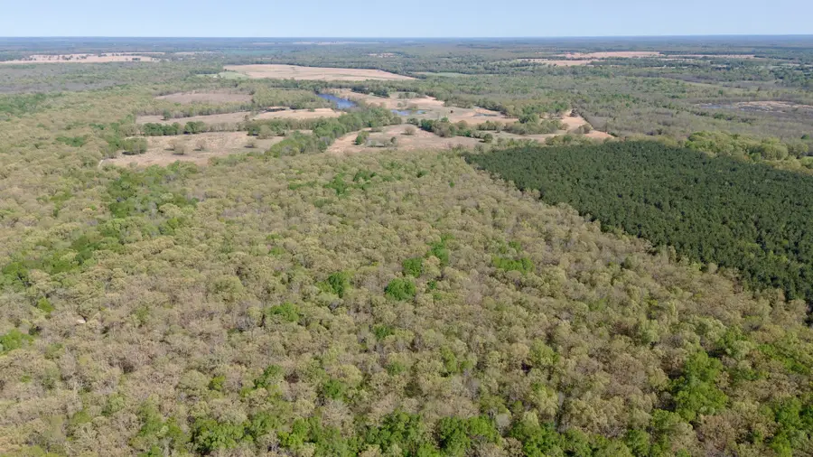 TBD Fm 909, Bogata, TX 75417 - #3