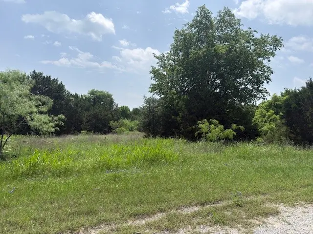 38067 Brookside Drive, Whitney, TX 76692 - #2