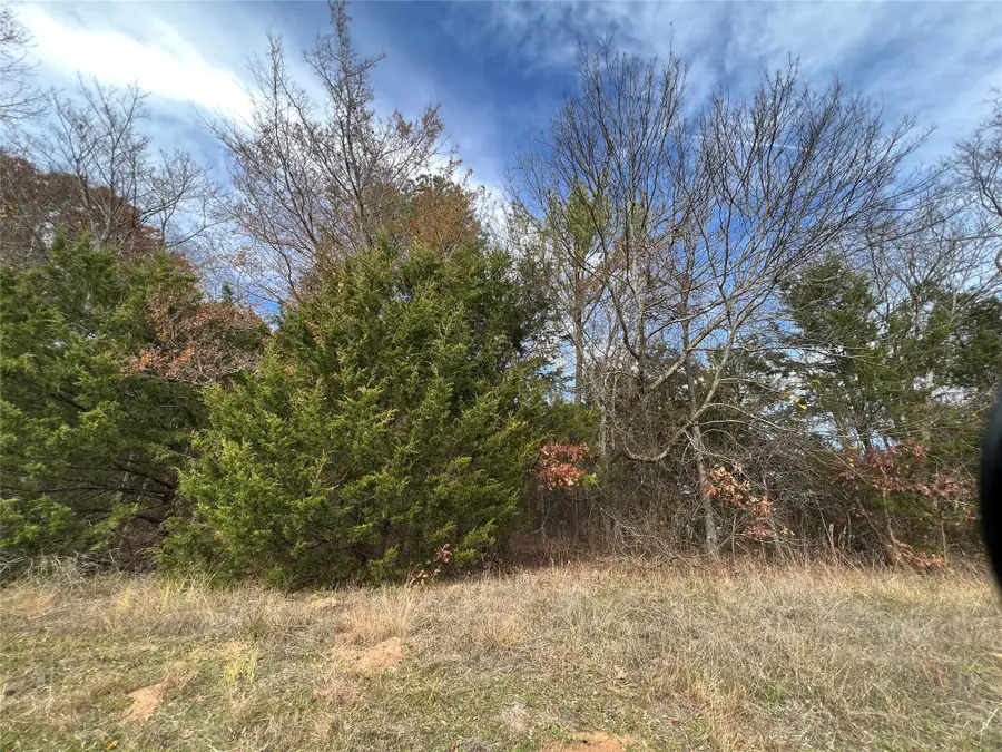 TBD State Hwy 64, Ben Wheeler, TX 75754 - #2