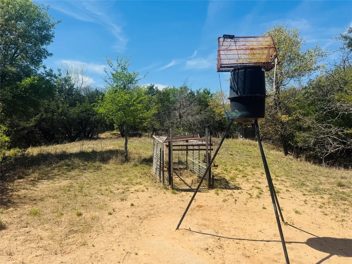 TBD Georgia Pass, Desdemona, TX 76445 - #1