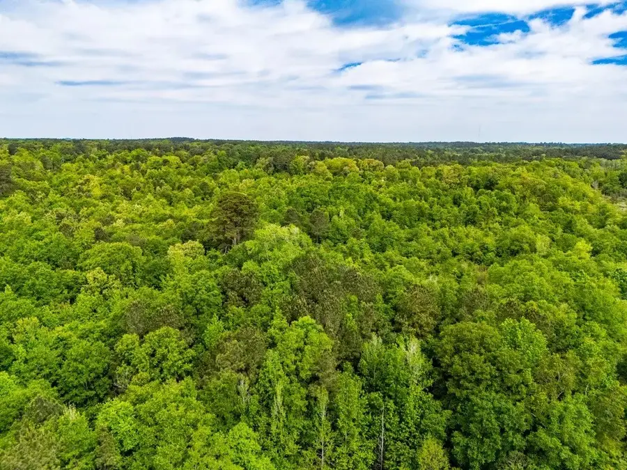 tbd White Oak Road, Big Sandy, TX 75755 - #3
