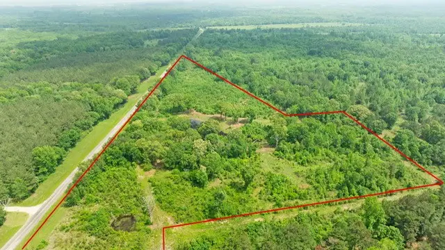 16513 Fm 1159, Clarksville, TX 75426 - #3